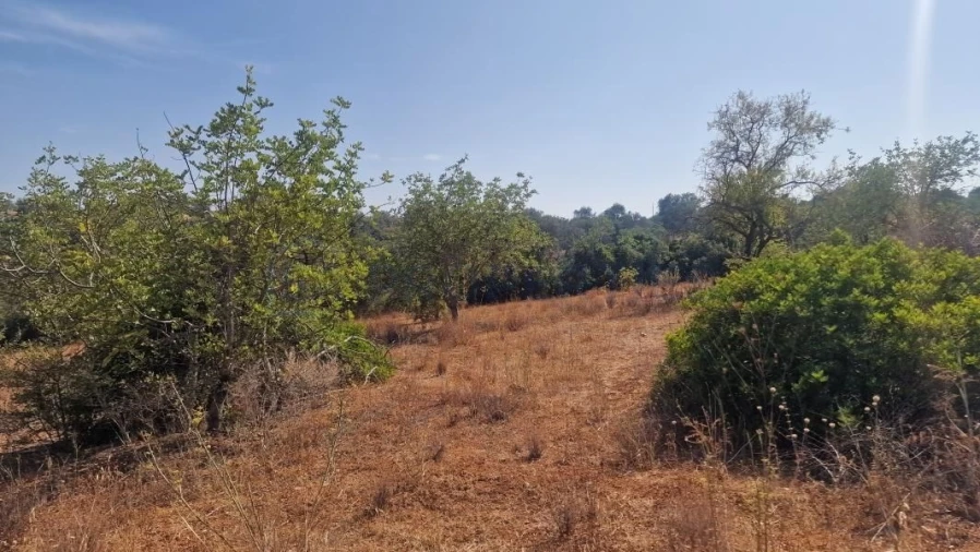 Terreno para Venda em Boliqueime Foto 20