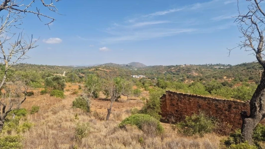 Terreno para Venda em Boliqueime Foto 17