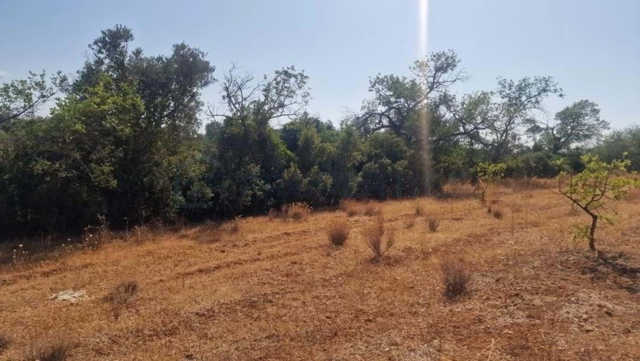 Terreno para Venda em Boliqueime Foto 23