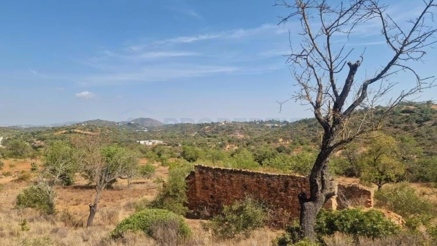 Terreno para Venda em Boliqueime Foto 16