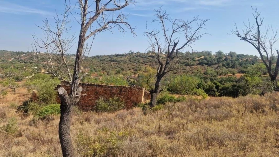 Terreno para Venda em Boliqueime Foto 10