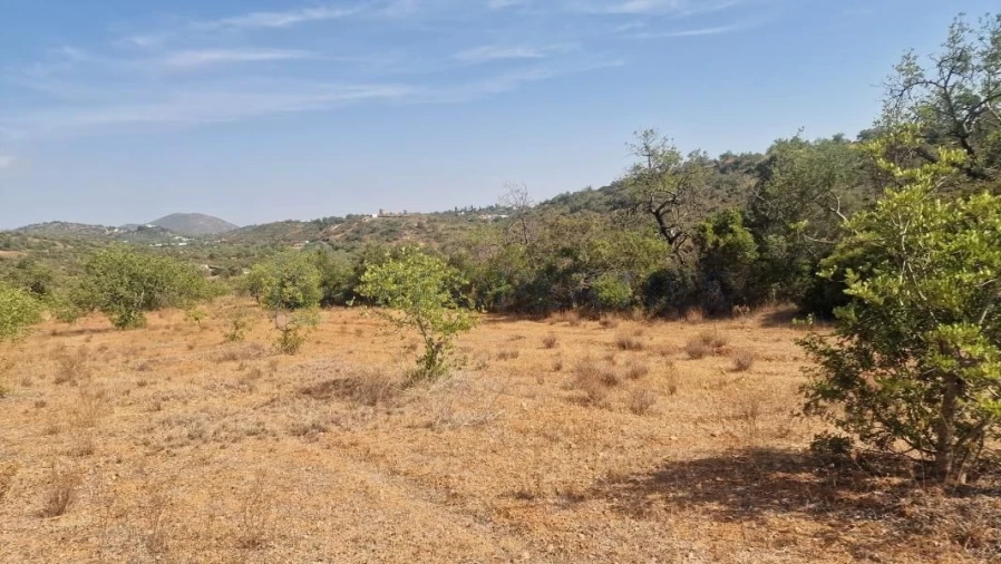 Terreno para Venda em Boliqueime Foto 22
