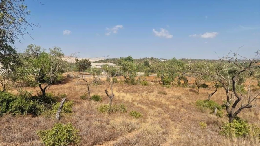 Terreno para Venda em Boliqueime Foto 18