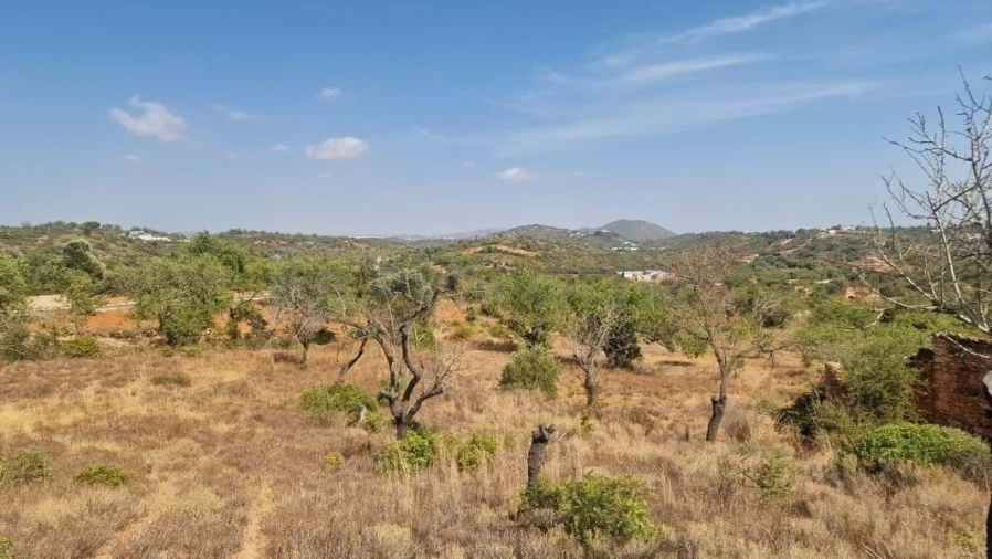 Terreno para Venda em Boliqueime Foto 12