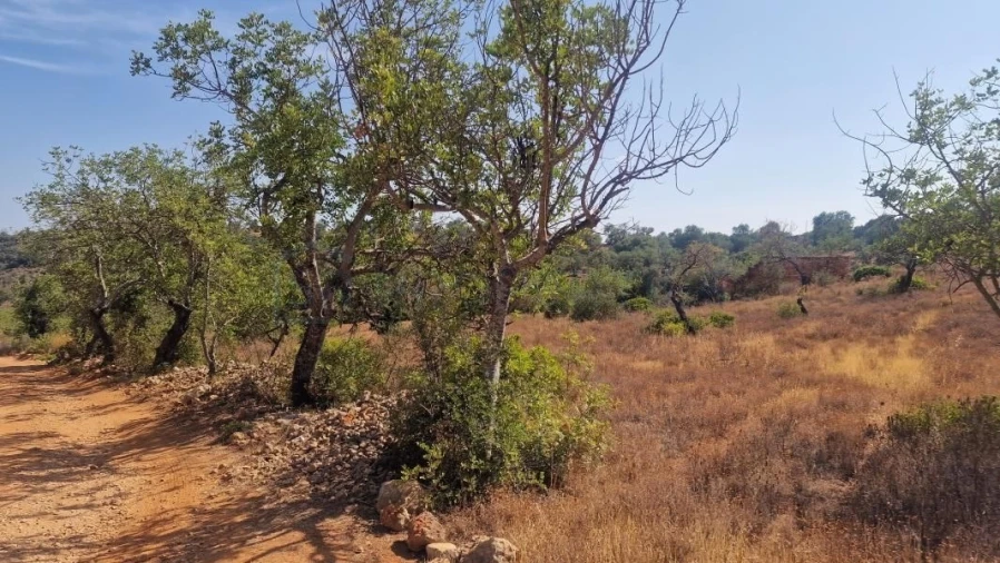 Terreno para Venda em Boliqueime Foto 2