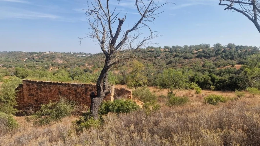 Terreno para Venda em Boliqueime Foto 13