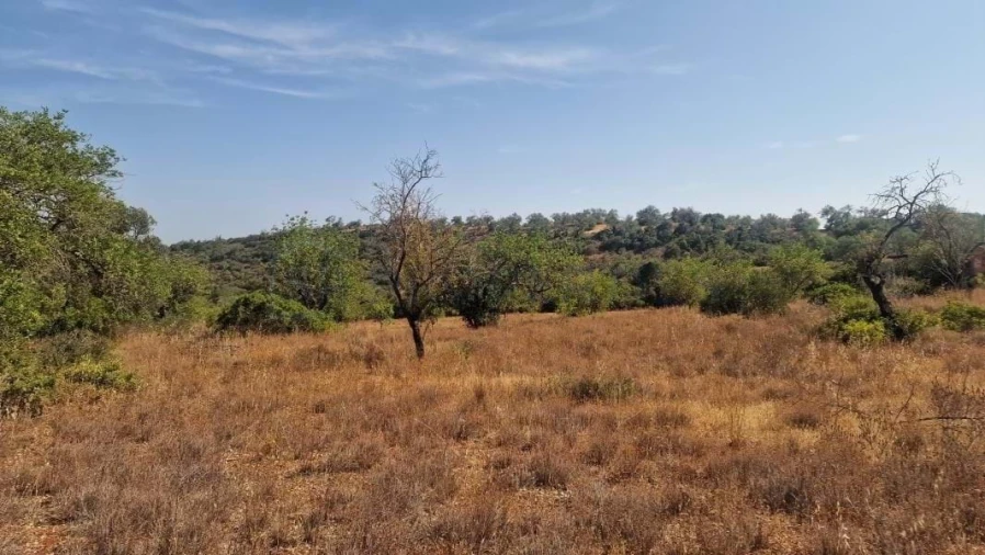 Terreno para Venda em Boliqueime Foto 8