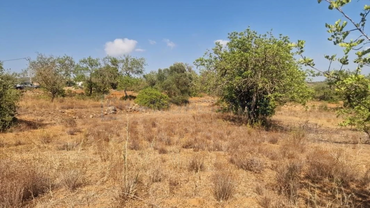 Terreno para Venda em Boliqueime Foto 30