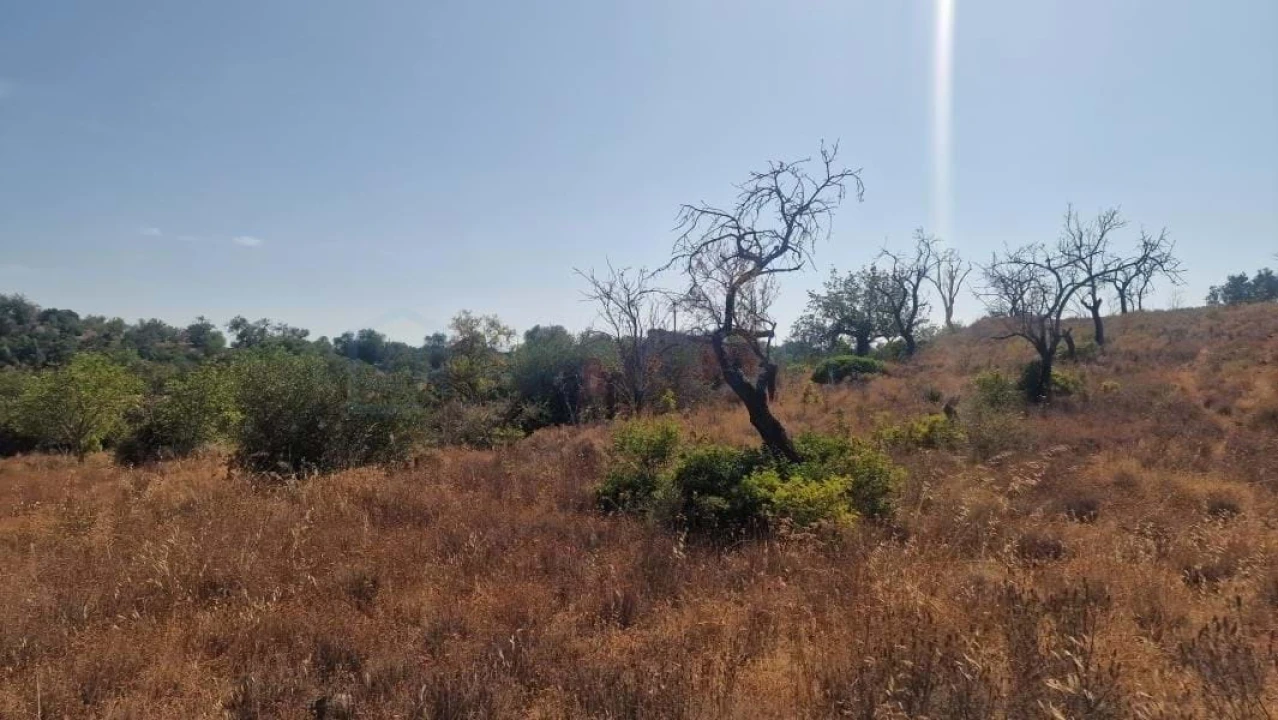Terreno para Venda em Boliqueime Foto 9