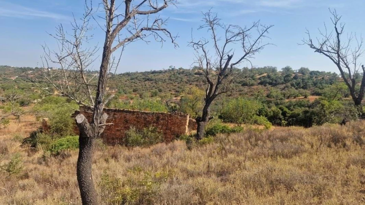 Terreno para Venda em Boliqueime Foto 10