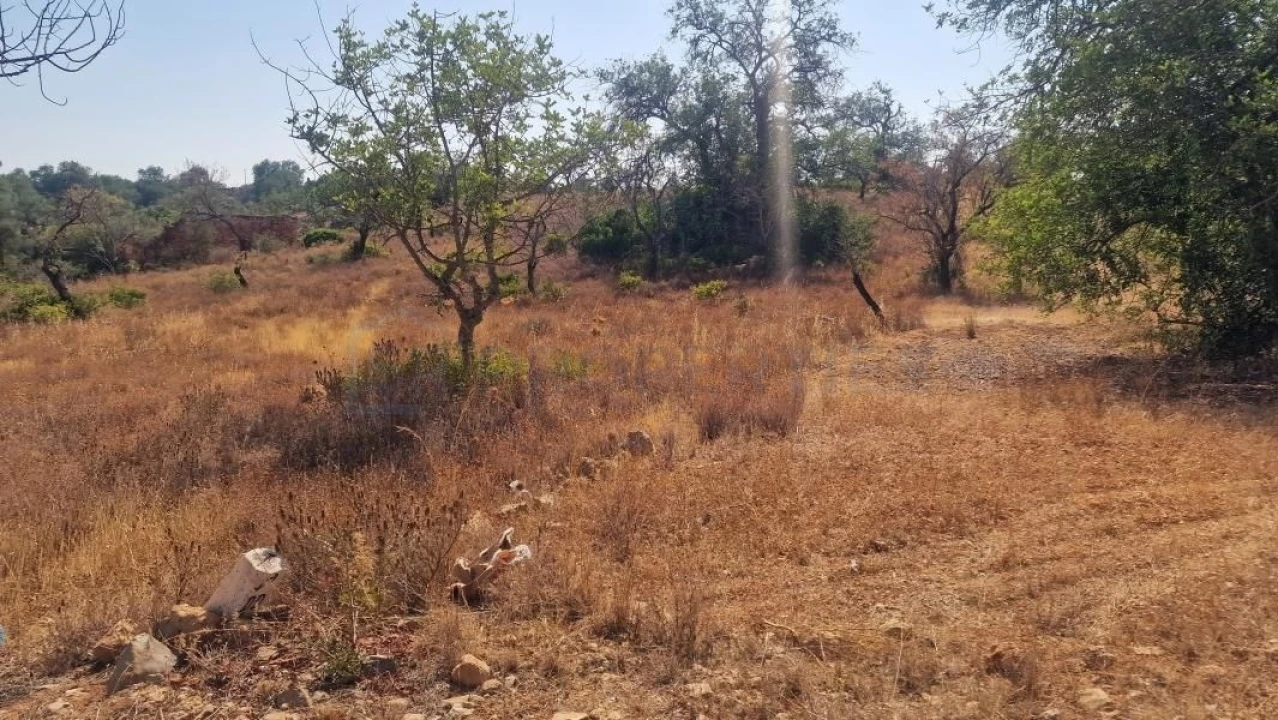 Terreno para Venda em Boliqueime Foto 3