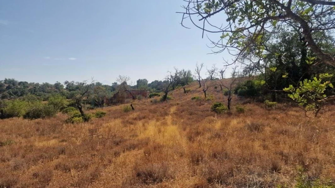 Terreno para Venda em Boliqueime Foto 6