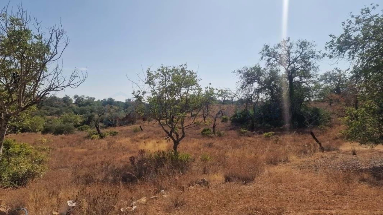 Terreno para Venda em Boliqueime Foto 5