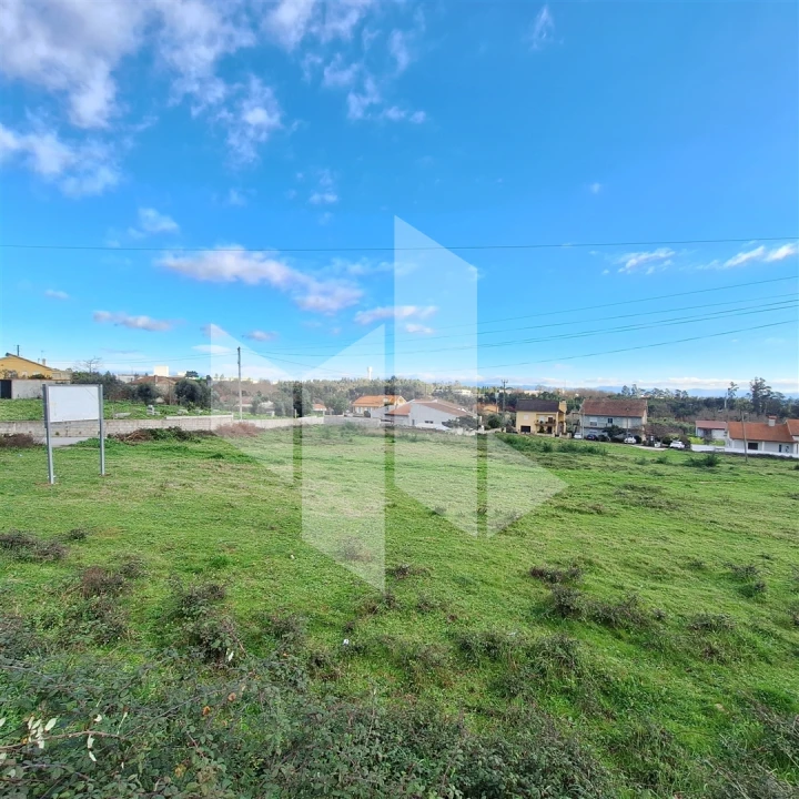 Terreno para Venda em Santa Comba Dão e Couto do Mosteiro Foto 6