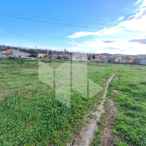 Terreno para Venda em Santa Comba Dão e Couto do Mosteiro Foto 5