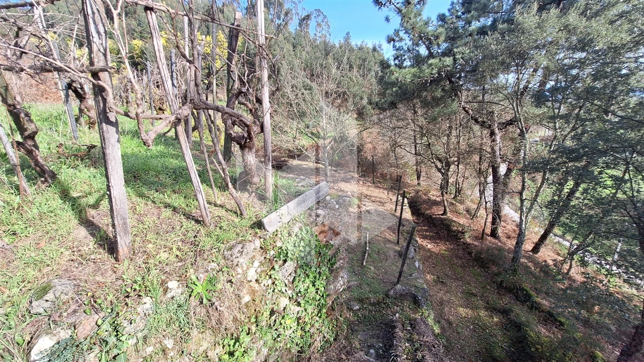 Terreno Agricola ou Rústico para Venda em Santiago de Besteiros Foto 6