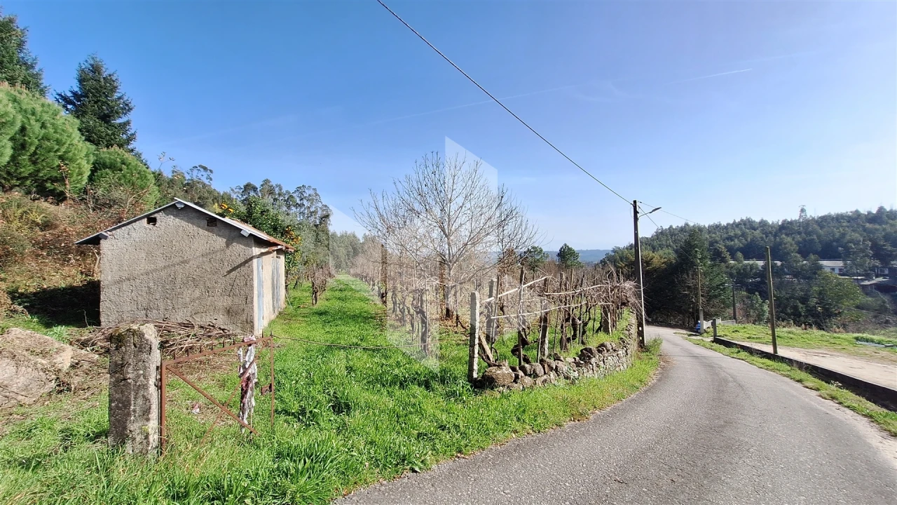 Terreno Agricola ou Rústico para Venda em Santiago de Besteiros Foto 1