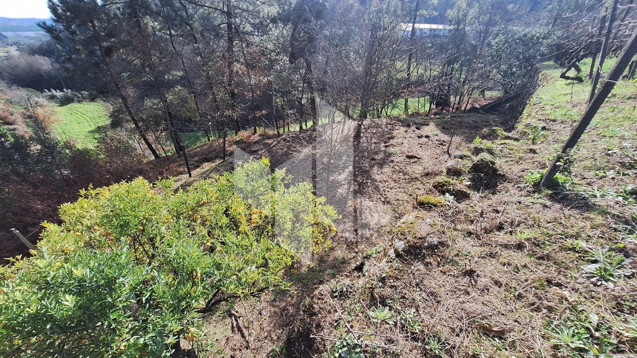 Terreno Agricola ou Rústico para Venda em Santiago de Besteiros Foto 8
