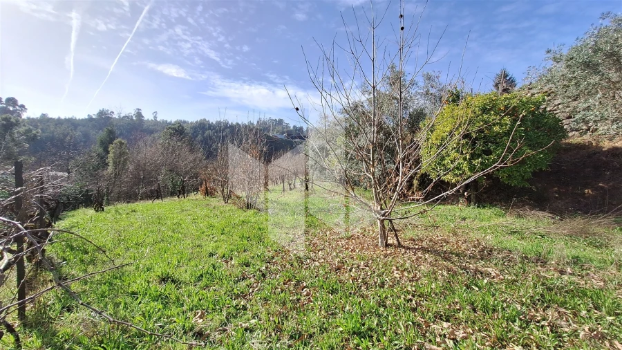 Terreno Agricola ou Rústico para Venda em Santiago de Besteiros Foto 2