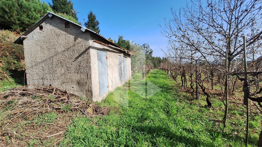 Terreno Agricola ou Rústico para Venda em Santiago de Besteiros Foto 11