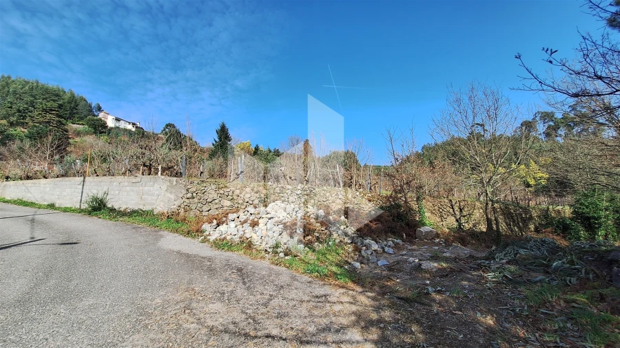 Terreno Agricola ou Rústico para Venda em Santiago de Besteiros Foto 22