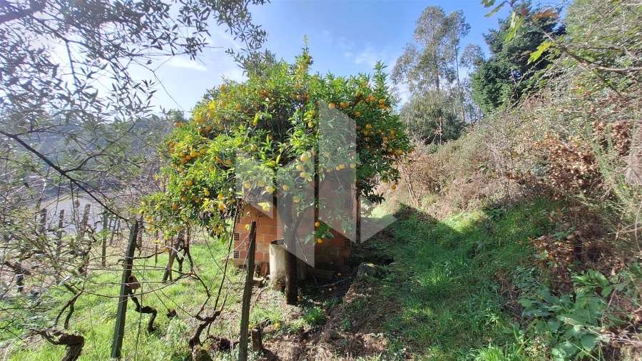 Terreno Agricola ou Rústico para Venda em Santiago de Besteiros Foto 20