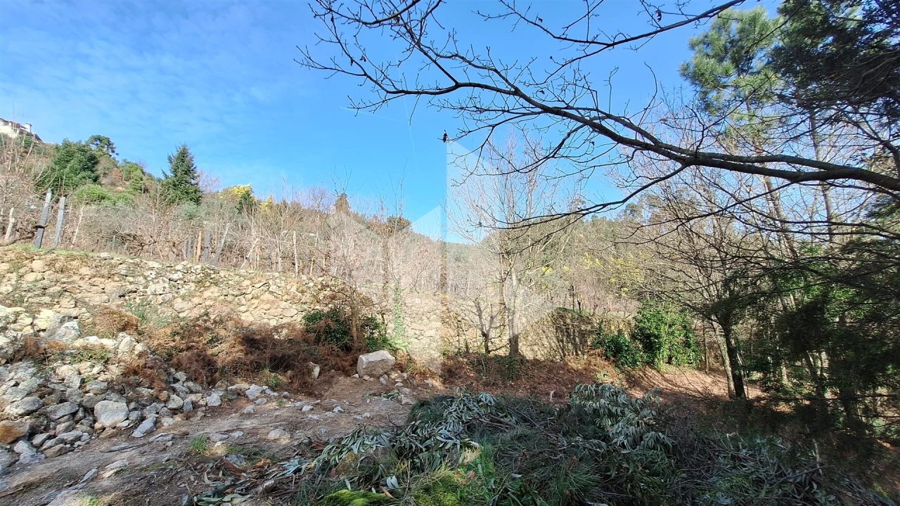 Terreno Agricola ou Rústico para Venda em Santiago de Besteiros Foto 3