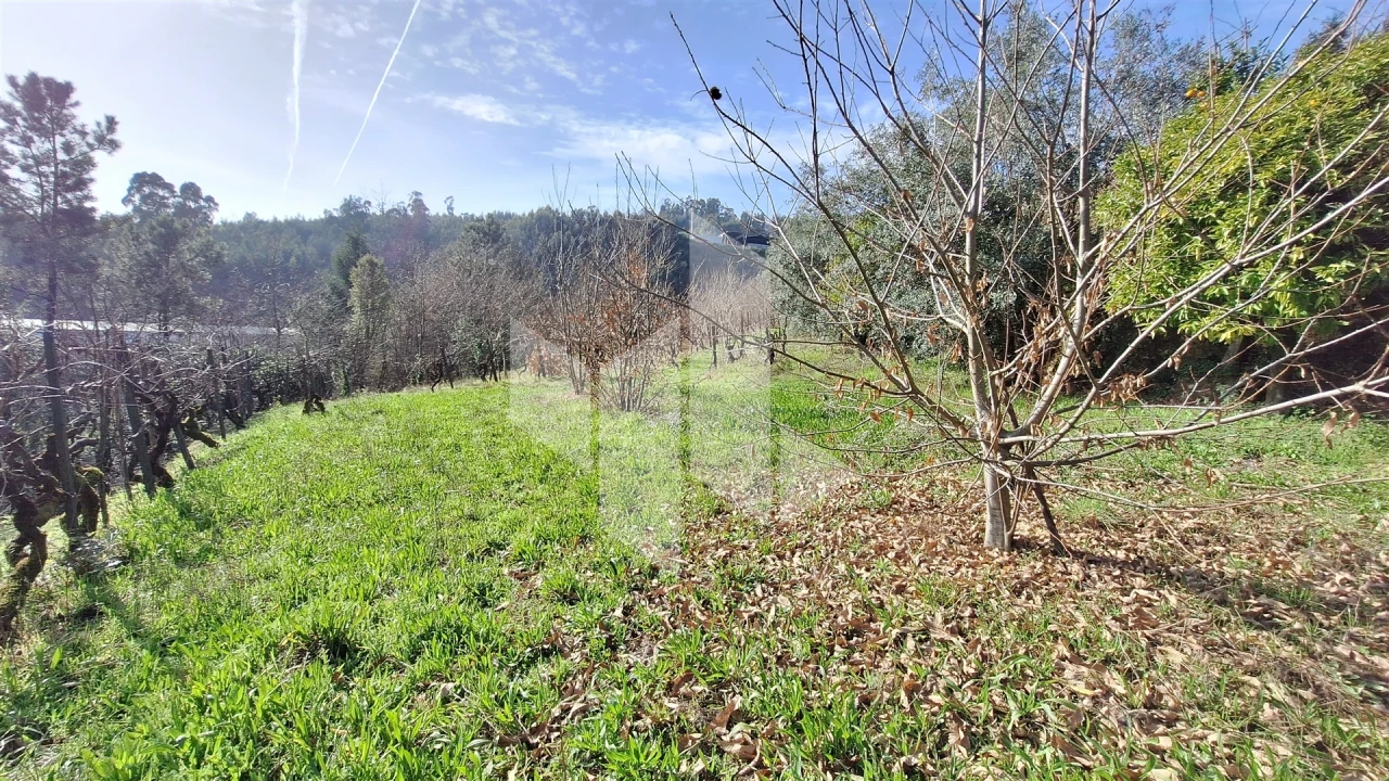Terreno Agricola ou Rústico para Venda em Santiago de Besteiros Foto 7