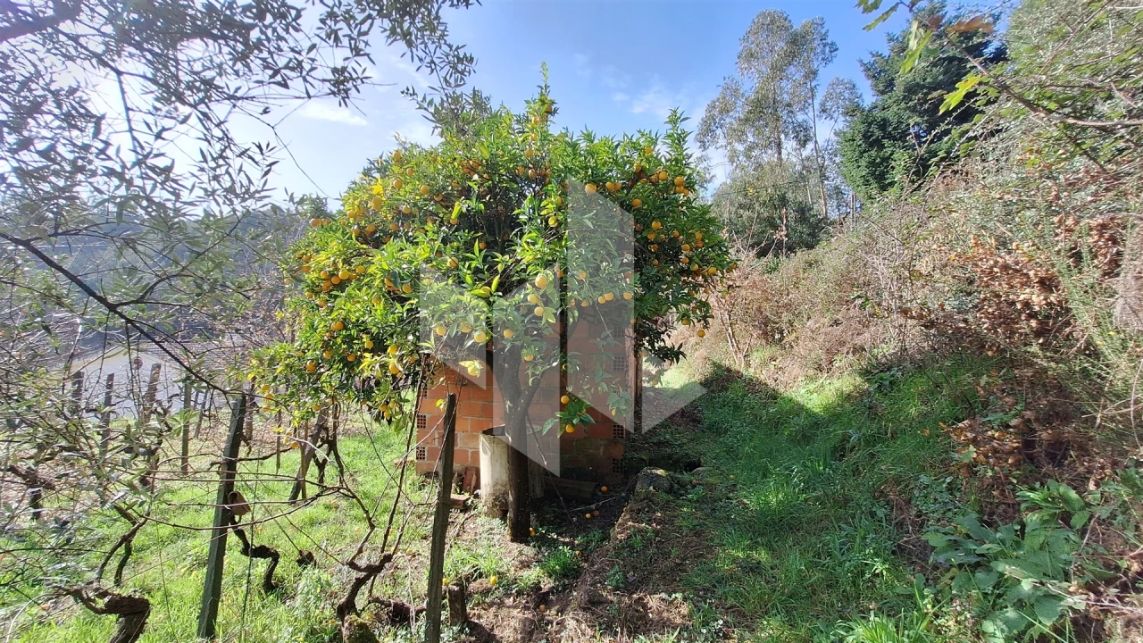 Terreno Agricola ou Rústico para Venda em Santiago de Besteiros Foto 20