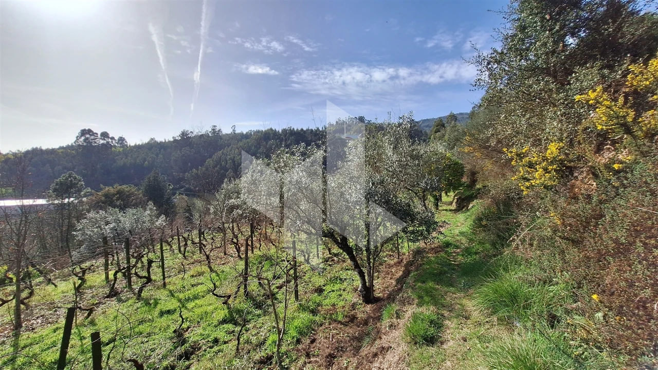Terreno Agricola ou Rústico para Venda em Santiago de Besteiros Foto 17