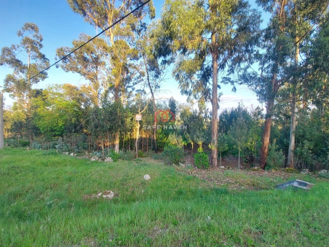 Terreno para Venda em Mangualde, Mesquitela e Cunha Alta Foto 3