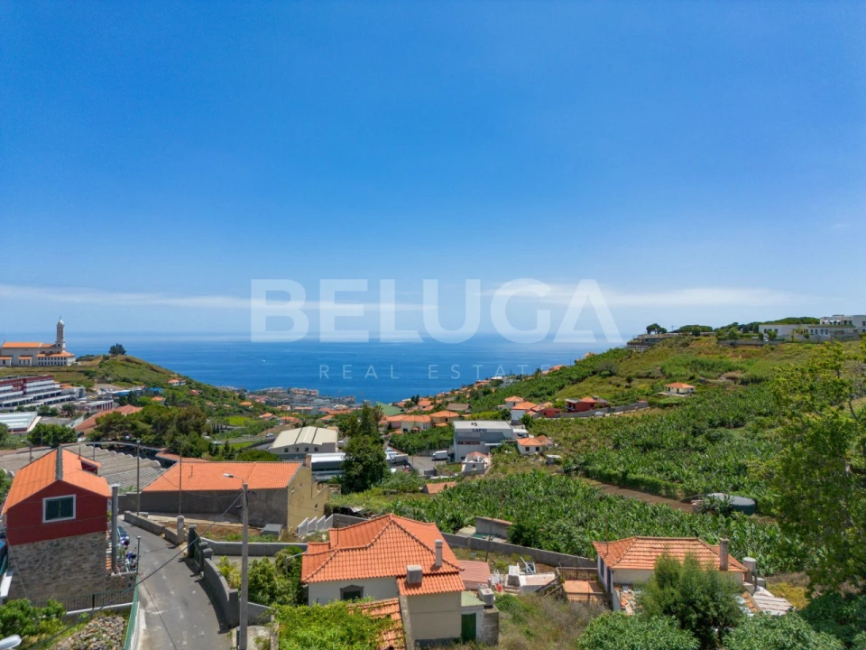 Terreno para Venda em São Martinho Foto 11