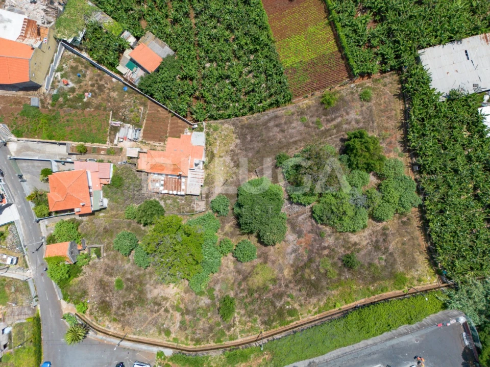 Terreno para Venda em São Martinho Foto 19