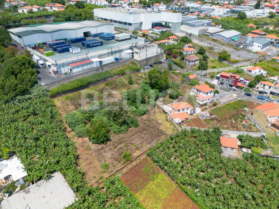 Terreno para Venda em São Martinho Foto 17