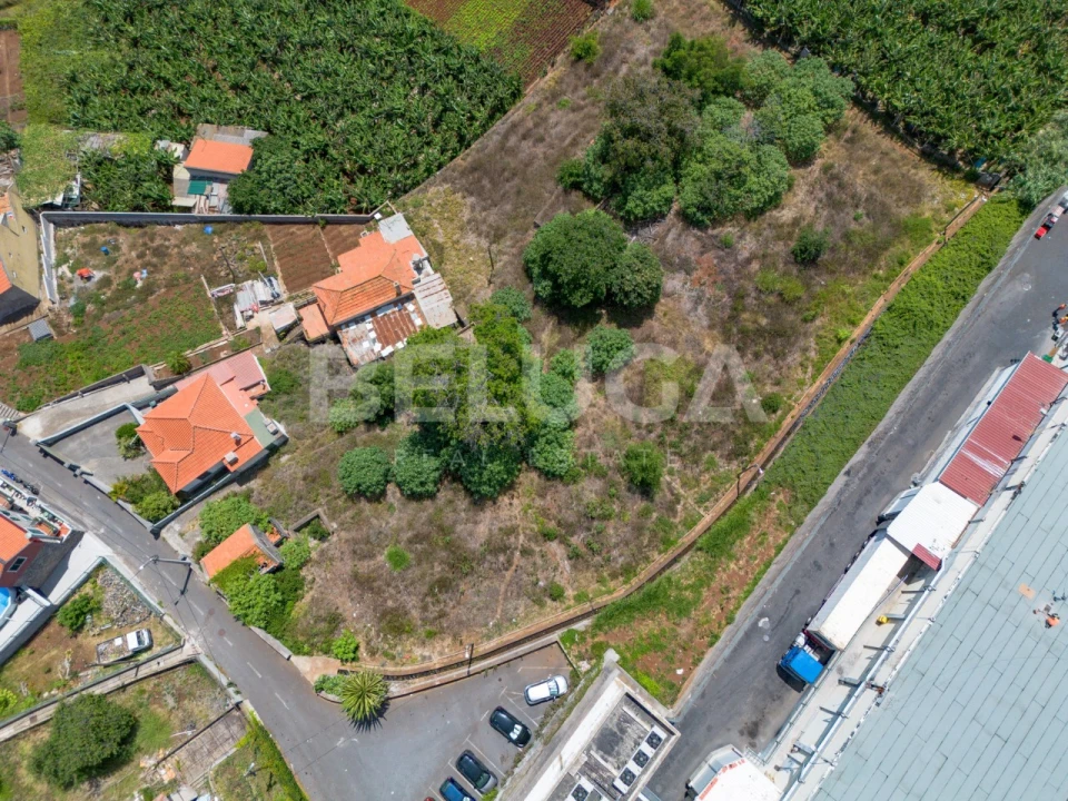 Terreno para Venda em São Martinho Foto 20