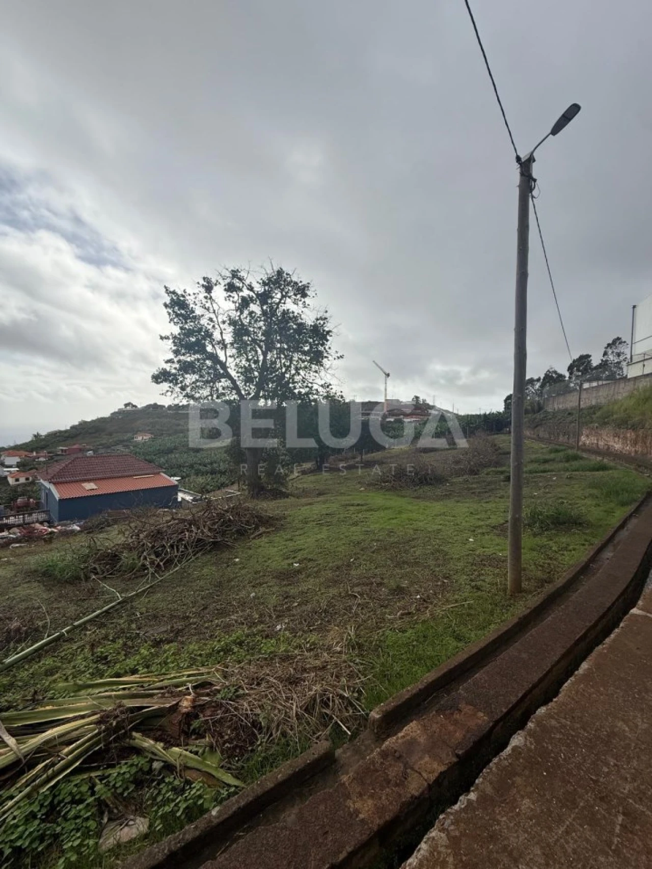 Terreno para Venda em São Martinho Foto 24