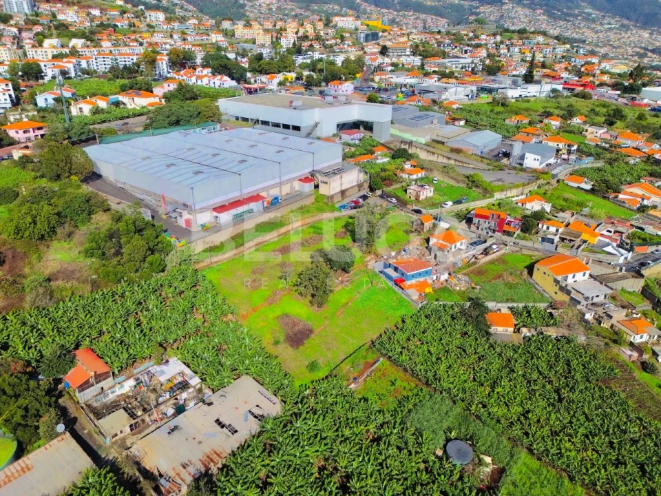 Terreno para Venda em São Martinho Foto 2