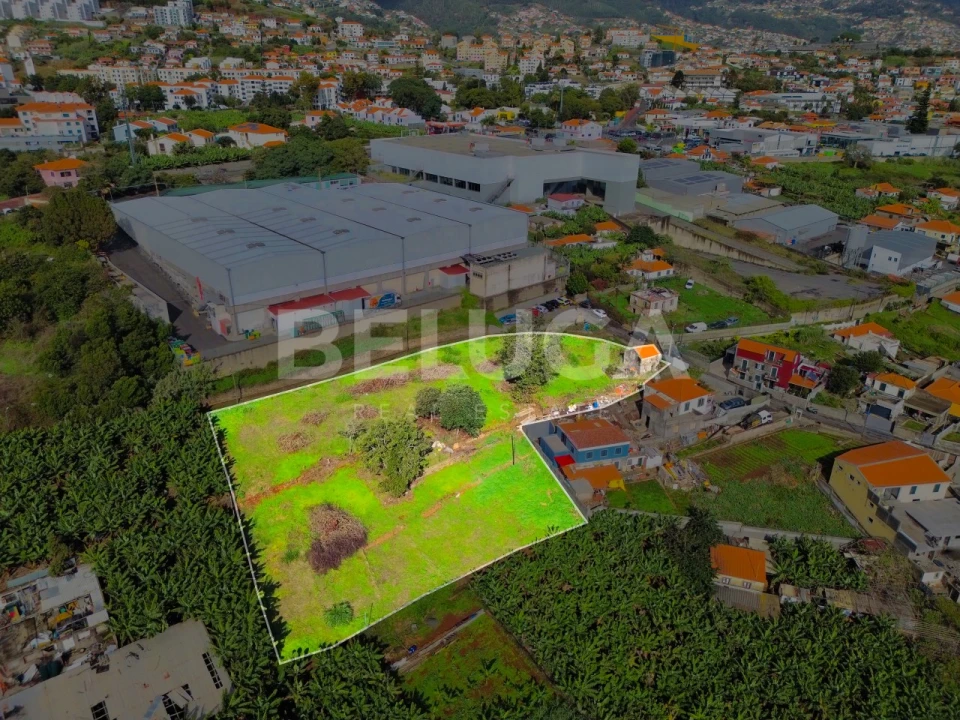 Terreno para Venda em São Martinho Foto 1