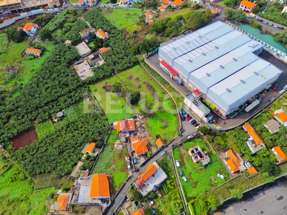 Terreno para Venda em São Martinho Foto 5