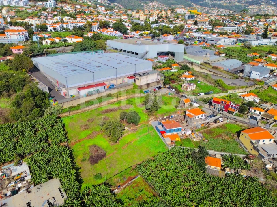 Terreno para Venda em São Martinho Foto 6