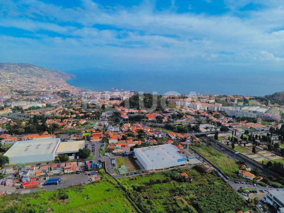 Terreno para Venda em São Martinho Foto 12
