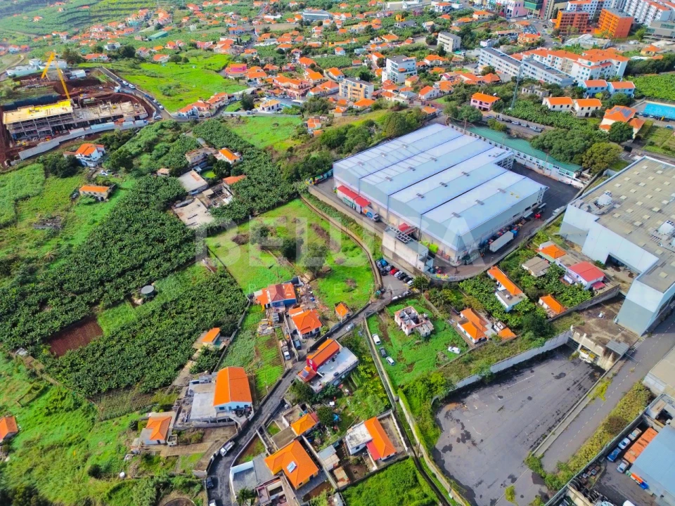 Terreno para Venda em São Martinho Foto 15