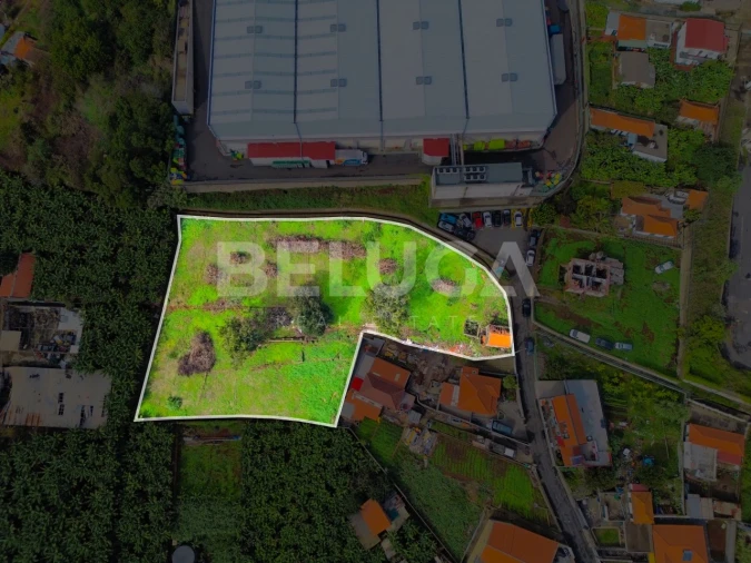 Terreno para Venda em São Martinho Foto 4