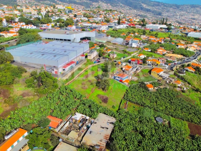 Terreno para Venda em São Martinho Foto 10