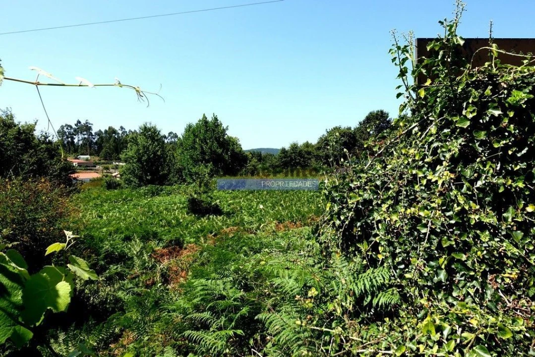 Terreno Misto para Venda em Agualonga Foto 6