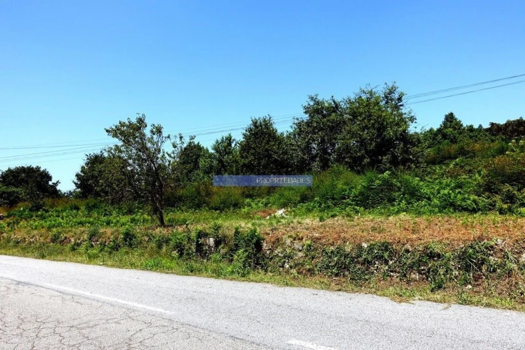 Terreno Misto para Venda em Agualonga Foto 3