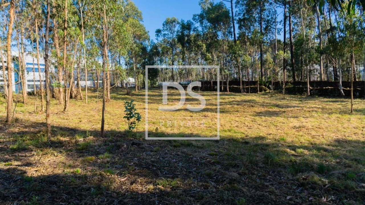 Terreno para Venda em Esposende, Marinhas e Gandra Foto 6