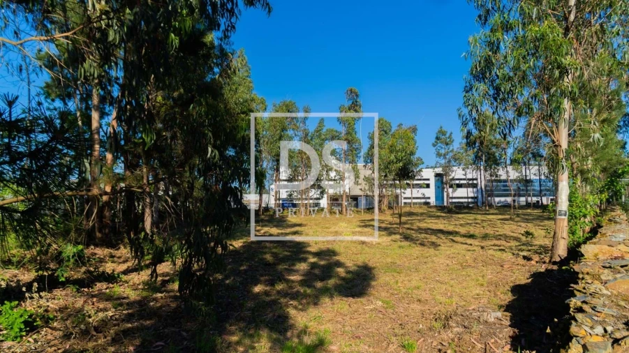 Terreno para Venda em Esposende, Marinhas e Gandra Foto 4