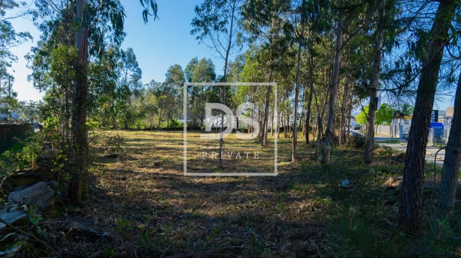 Terreno para Venda em Esposende, Marinhas e Gandra Foto 5