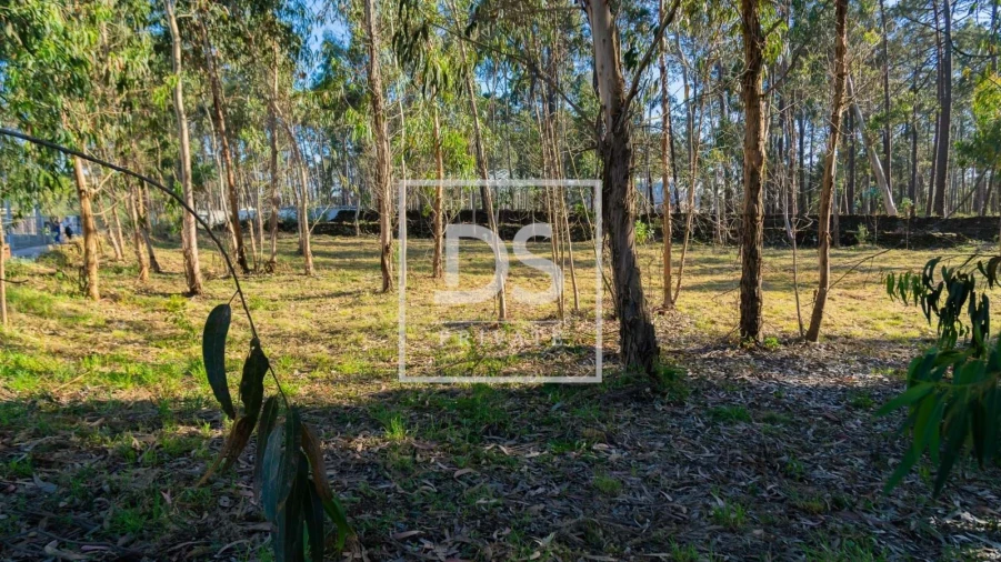 Terreno para Venda em Esposende, Marinhas e Gandra Foto 7